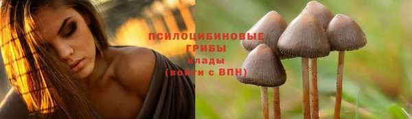 мдпв Красноперекопск