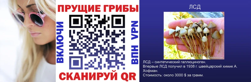 mega вход  Ачинск  Псилоцибиновые грибы Psilocybine cubensis 
